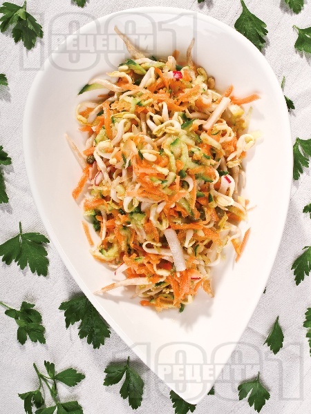 Салата от настъргани моркови, краставици, репички и кълнове - снимка на рецептата